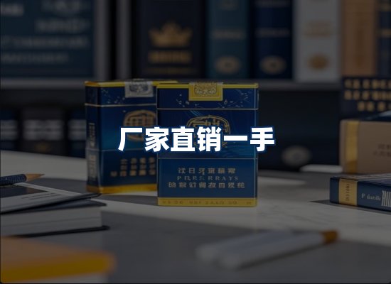 专业团队办公环境